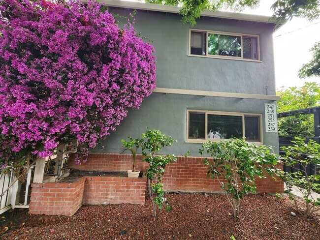 259 Ramona St Palo Alto, CA 94301