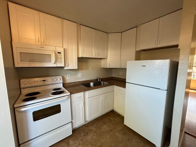 145 Lincoln St Santa Rosa, CA 95401 photo 4
