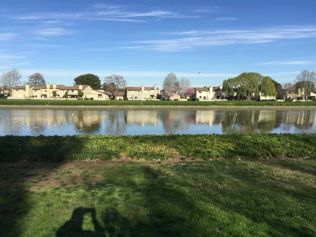 1591 Lago St San Mateo, CA 94403 photo 2