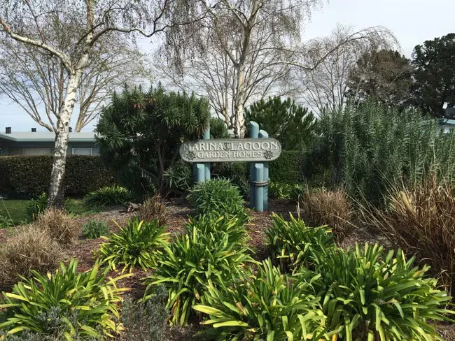 1591 Lago St San Mateo, CA 94403 photo 5