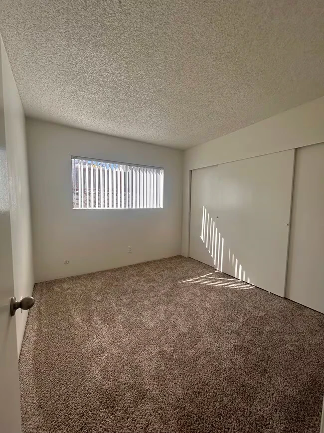 Gaines Street Apartment photo 4