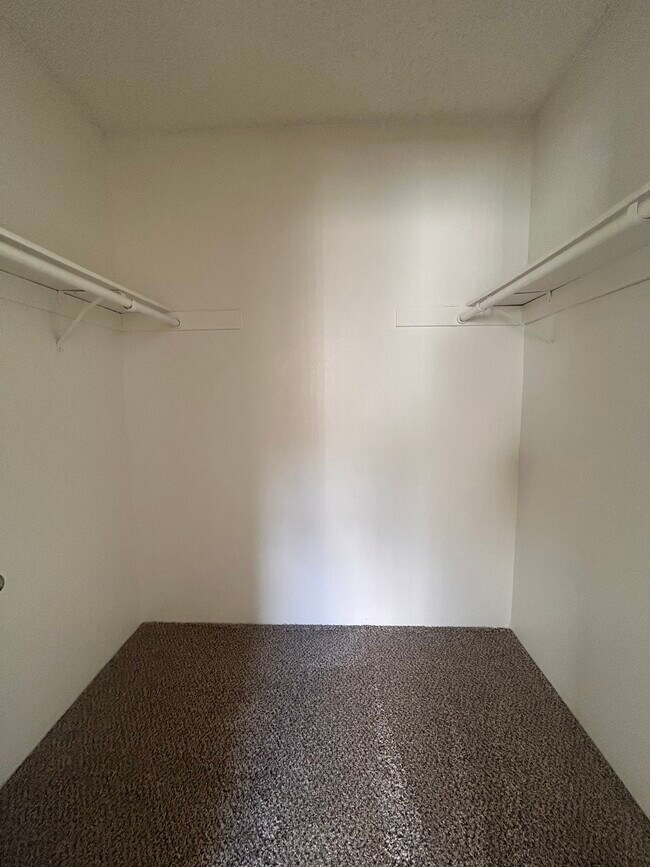 Gaines Street Apartment photo 5