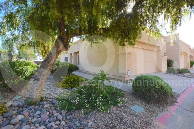 625 N Hamilton St Chandler, AZ 85225 photo 2