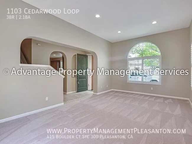 1103 Cedarwood Loop photo 4