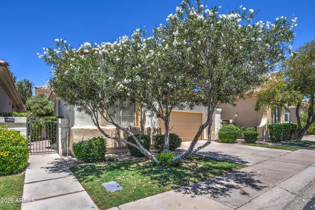 7910 E Cholla St Scottsdale, AZ 85260 photo 5