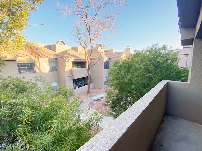 5950 N 78th St Scottsdale, AZ 85250 photo 4