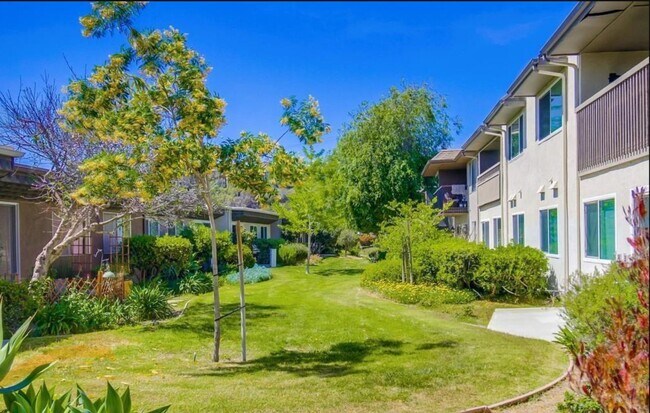 6322 Caminito Lazaro San Diego, CA 92111