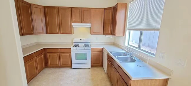 2559 E Wildhorse Pl Chandler, AZ 85286 photo 4