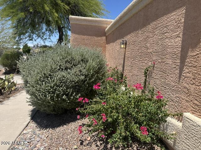 17216 E Salida Dr Fountain Hills, AZ 85268 photo 4