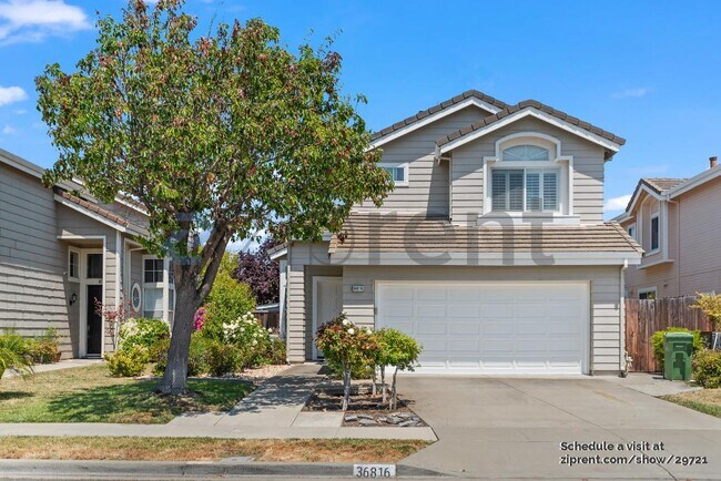 36816 Papaya St photo 2