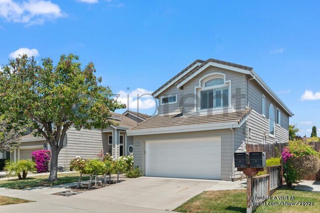 36816 Papaya St photo 4