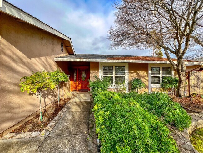 4492 Jefferson St Napa, CA 94558 photo 2