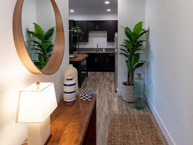 Vela Santee Apartments photo 3