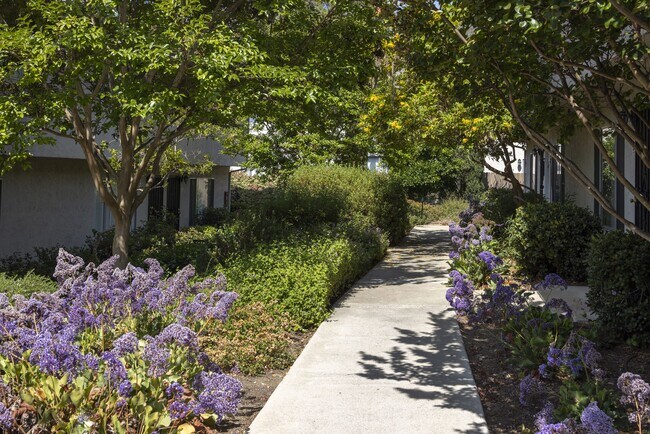 Casa Monterey Apartments photo 3