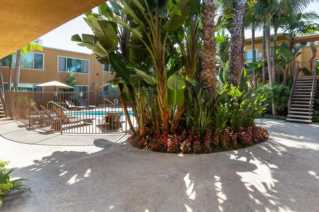 Elan Coco Palms photo 3
