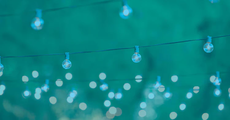 AVA Newport photo 2