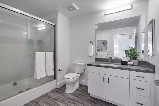 Scotia Apartments photo 4