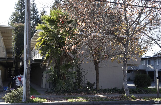 Cypress photo 3