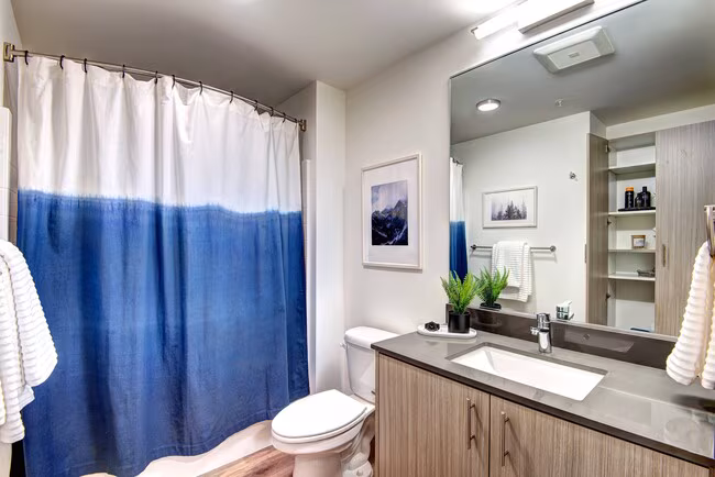 Midtown 64 Apartments photo 4