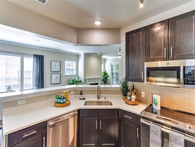 The Caruth Premier Townhome Apartments photo 2