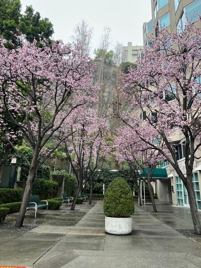 240 Lombard Street photo 2