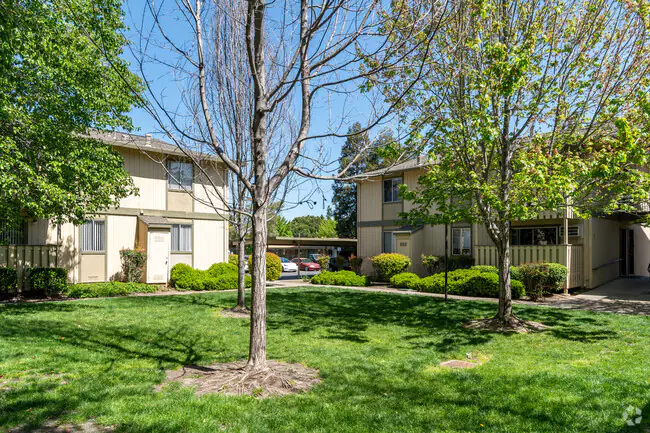 Oakview Apartments photo 4