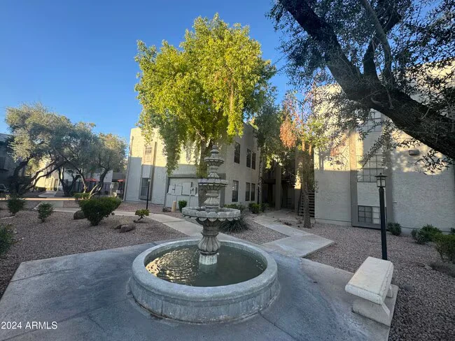 8020 E Thomas Rd Scottsdale, AZ 85251 photo 3