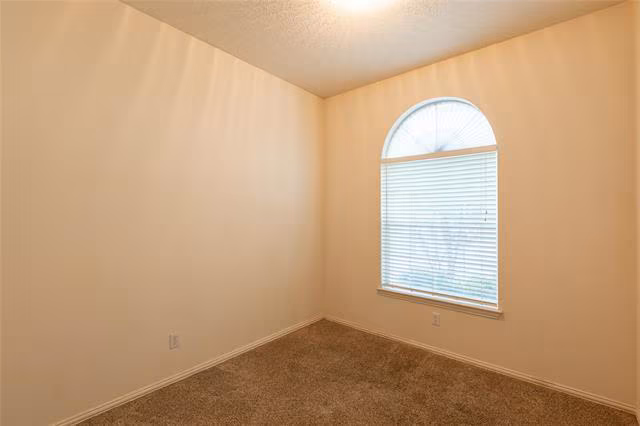 3713 Pinetree Drive, Mckinney, TX 75070 photo 4