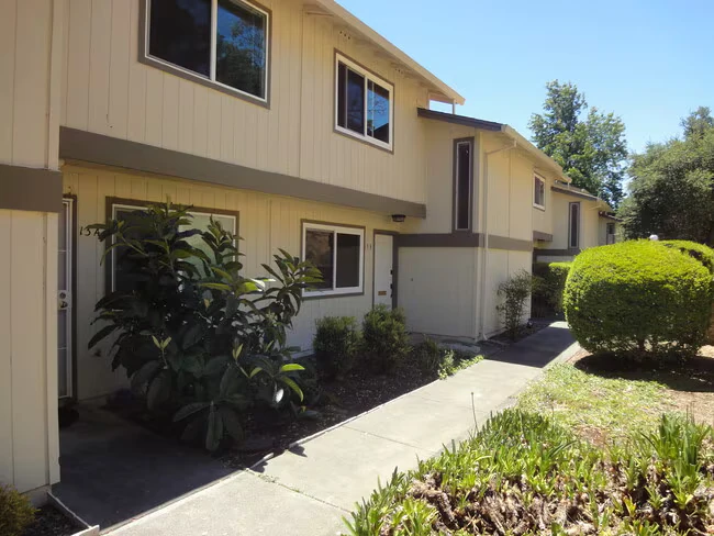 13B Oliva Dr Novato, CA 94947 photo 3