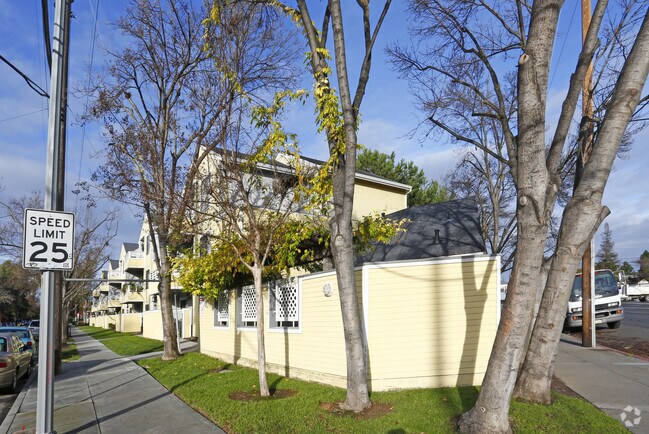 Apartments on Paula Terrace · San Jose photo 3