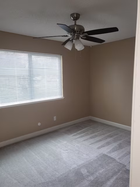 Vineyard Apartments photo 2