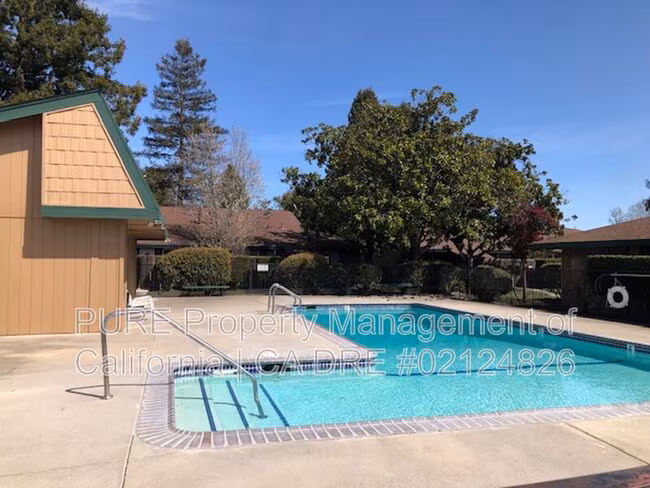 709 Lincoln Ave Rohnert Park, CA 94928 photo 4