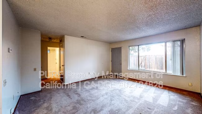 709 Lincoln Ave Rohnert Park, CA 94928 photo 5