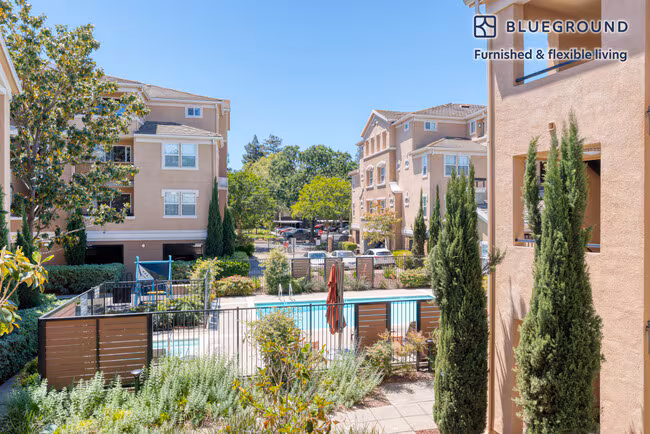 2982 Santos Ln Walnut Creek, CA 94597 photo 5