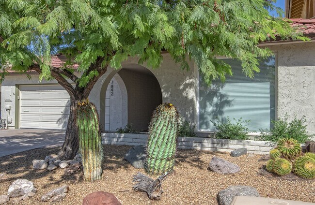 7842 E MacKenzie Dr Scottsdale, AZ 85251 photo 3