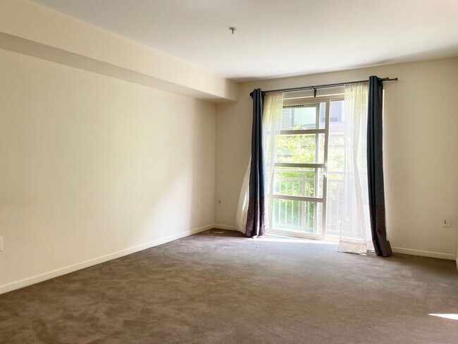 Cozy Studio in Downtown Bellevue photo 3
