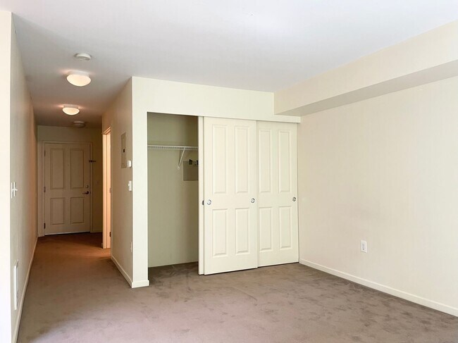 Cozy Studio in Downtown Bellevue photo 4
