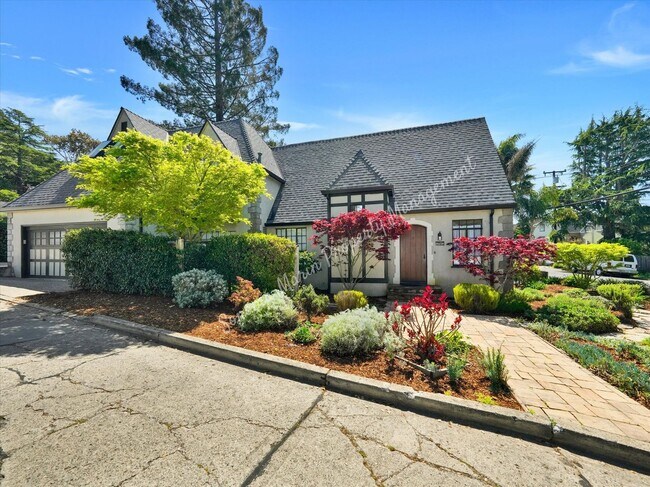81 Elm Avenue, Mill Valley, CA 94941 photo 5