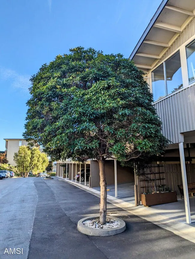Cozy 1br apartment in Tiburon w/amazing views photo 2