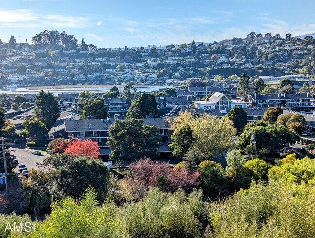 Cozy 1br apartment in Tiburon w/amazing views photo 4