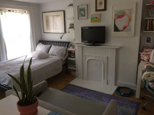 575 Classon Ave Brooklyn, NY 11238 photo 4