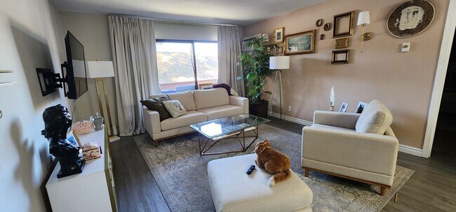 2920 Briarwood Rd Bonita, CA 91902 photo 3