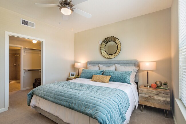 Overture Frisco 55+ Active Adult Apartment Homes photo 2