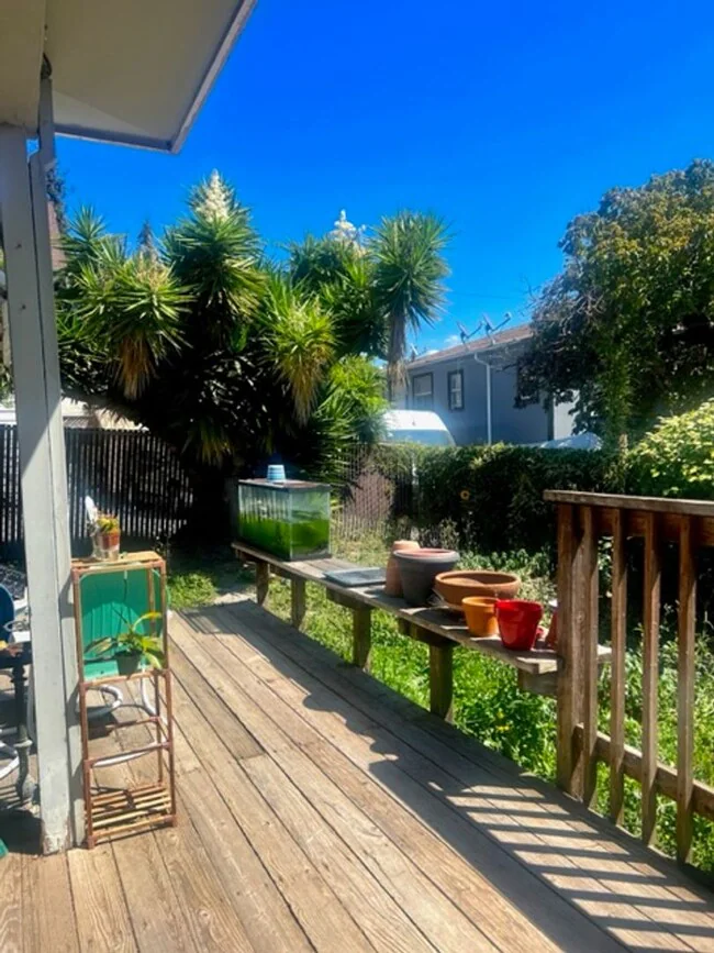 Pet-Friendly 1 BD | BA Duplex in Oakland photo 3