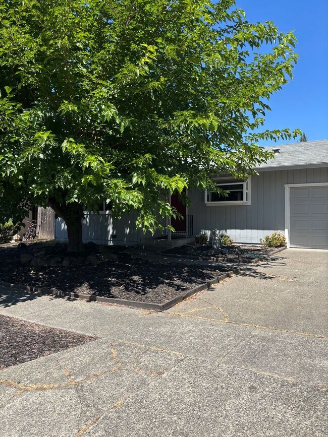 4929 Snark Ave Santa Rosa, CA 95409 photo 2