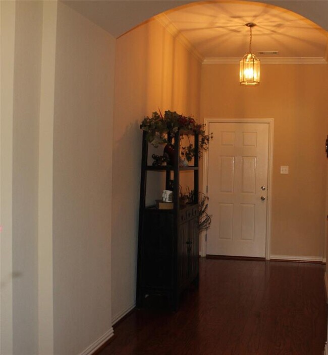 1409 Cockatiel Drive, Little Elm, TX 75068 photo 4