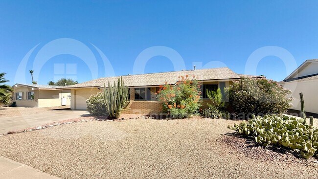 11038 W Cheryl Dr Sun City, AZ 85351 photo 4