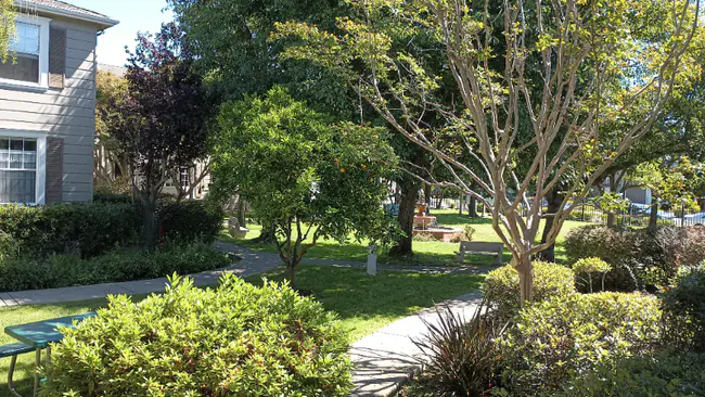 1163 Broadway Alameda, CA 94501 photo 3