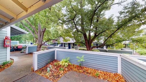 Apartments on Robinson St - 16 · El Verano photo 5