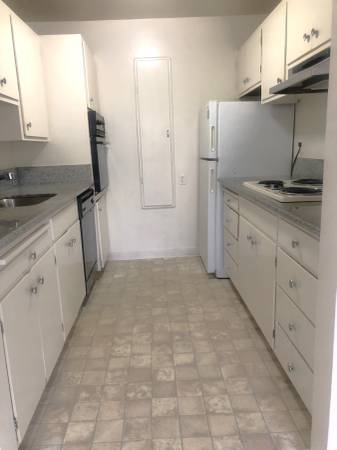 2BR/2BA Apartment on Walnut Street · Berkeley photo 4
